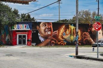 graffitis-fresques-murales-murals-miami-wynwood-1030