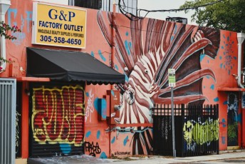 graffitis-fresques-murales-murals-miami-wynwood-1039