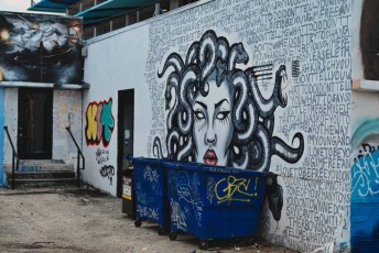 graffitis-fresques-murales-murals-miami-wynwood-1126