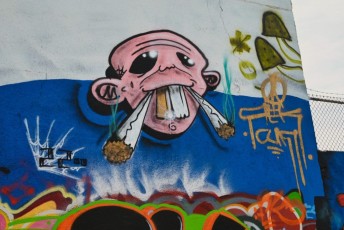 graffitis-fresques-murales-murals-miami-wynwood-1241