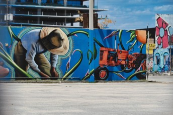 graffitis-fresques-murales-murals-miami-wynwood-1255