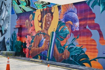 graffitis-fresques-murales-murals-miami-wynwood-1263