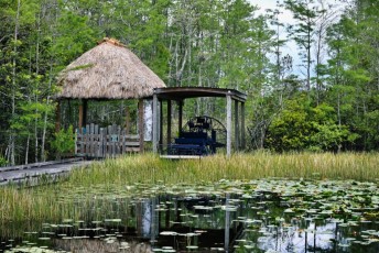 grassy-waters-preserve-west-palm-beach-Floride-0596
