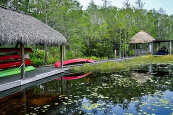grassy-waters-preserve-west-palm-beach-Floride-0601