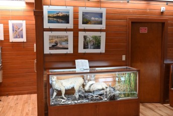 grassy-waters-preserve-west-palm-beach-Floride-0616