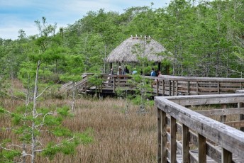 grassy-waters-preserve-west-palm-beach-Floride-0617