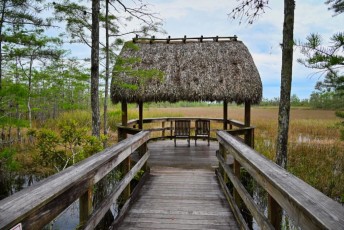 grassy-waters-preserve-west-palm-beach-Floride-0650