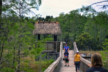 grassy-waters-preserve-west-palm-beach-Floride-0658