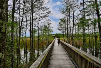grassy-waters-preserve-west-palm-beach-Floride-0659