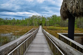 grassy-waters-preserve-west-palm-beach-Floride-0667