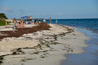 Bahia-Honda-State-Park-plage-Keys-De-Floride7129