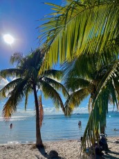 Hobbie-Island-Beach-Park-Plage-Miami-virginia-Key-8898
