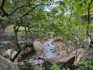 morikami-musee-jardins-0303