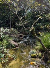 morikami-musee-jardins-0306