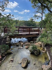 morikami-musee-jardins-0327