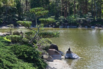 morikami-musee-jardins-0787