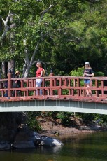 morikami-musee-jardins-0791