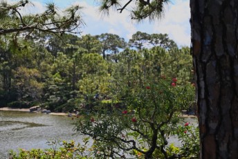 morikami-musee-jardins-0819