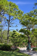 morikami-musee-jardins-0838