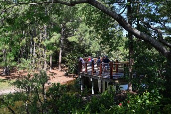 morikami-musee-jardins-0844