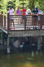 morikami-musee-jardins-0858