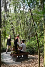 morikami-musee-jardins-0868