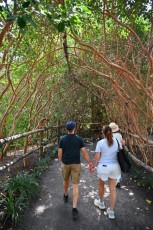 morikami-musee-jardins-0897