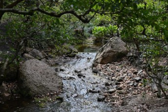 morikami-musee-jardins-0952