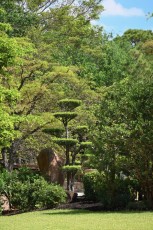 morikami-musee-jardins-0980