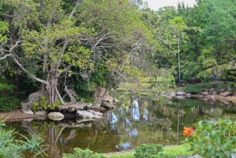 morikami-musee-jardins-0985