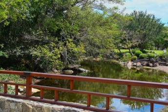 morikami-musee-jardins-1002