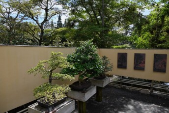 morikami-musee-jardins-1006