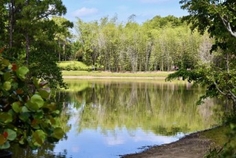morikami-musee-jardins-1032