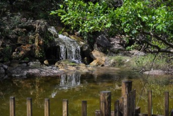 morikami-musee-jardins-1034