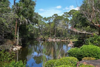 morikami-musee-jardins-1082