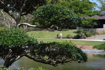 morikami-musee-jardins-1101