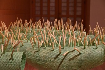 morikami-musee-jardins-1132