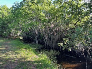Egans-creek-Fernandina-Amelia-Island-Floride-0936