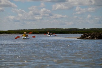 kayak-timucuan-preserve-jacksonville-3396