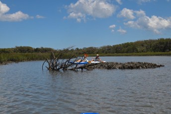 kayak-timucuan-preserve-jacksonville-3563