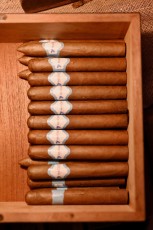 Gala-facc-miami-2023-5569