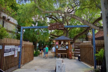 upper-buena-vista-miami-5149