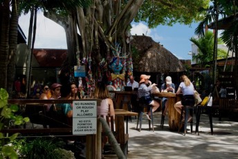 upper-buena-vista-miami-5158