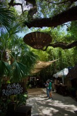 upper-buena-vista-miami-5166