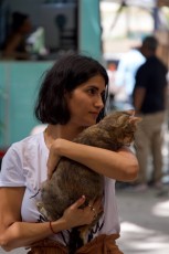 upper-buena-vista-miami-5174