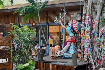 upper-buena-vista-miami-5206