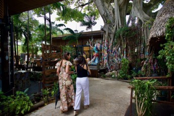 upper-buena-vista-miami-5207