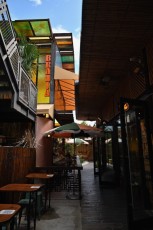 upper-buena-vista-miami-5209