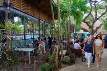 upper-buena-vista-miami-5227