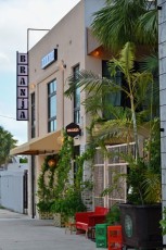 upper-buena-vista-miami-5239